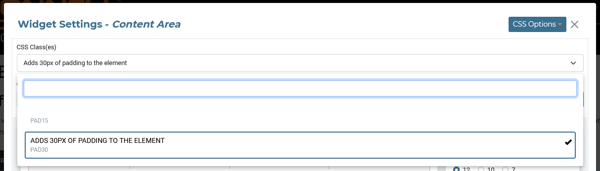 Selecting CSS Classes for widgets